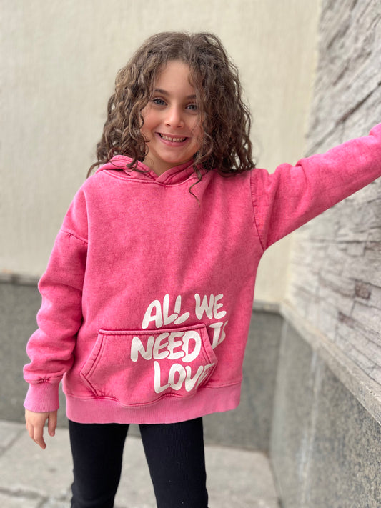 All we need is love hoodie